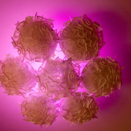 布雷拉名誉住宿加早餐旅馆 招待所 4*